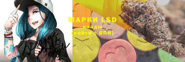 мяу мяу мука Нея