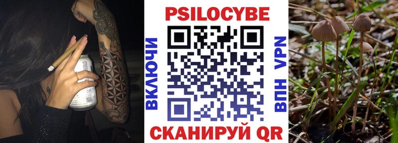 Псилоцибиновые грибы мицелий Сортавала